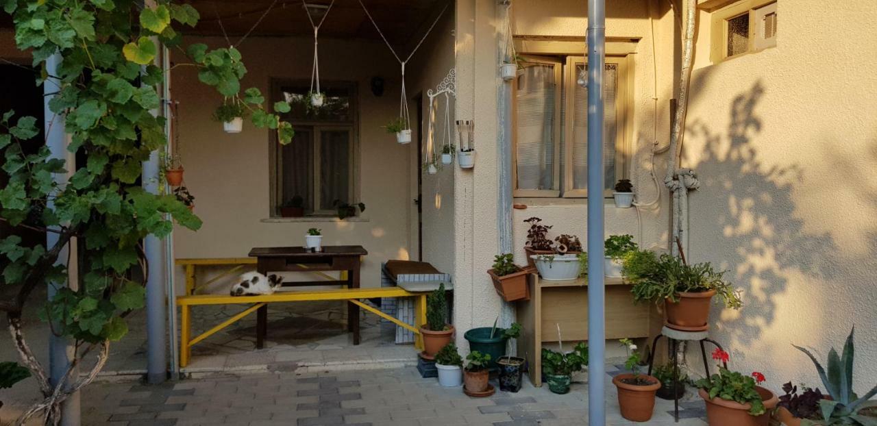 Домик У Реки Куры Tbilisi Exterior foto